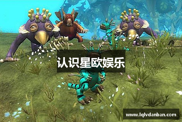 认识星欧娱乐